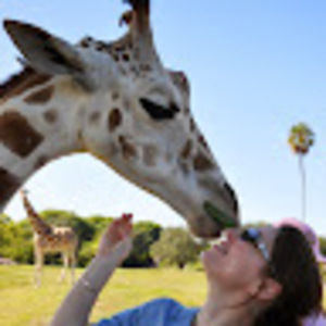 Meet your Posher, Gillian